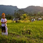 a european boy in traditional balinese clothing st 2023 11 27 05 27 56 utc