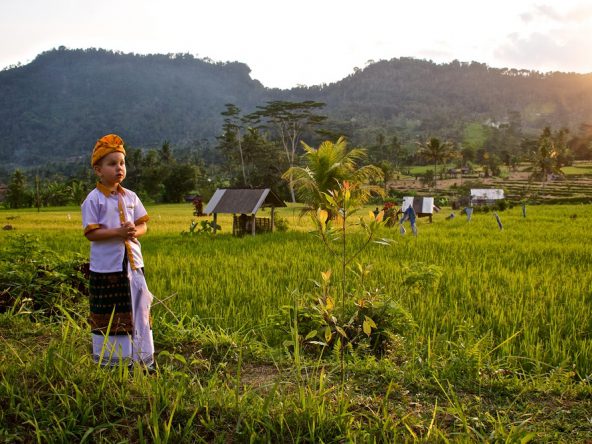 a european boy in traditional balinese clothing st 2023 11 27 05 27 56 utc