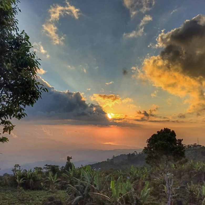 WhatsApp Image 2025 06 01 at 18.24.39 (2)