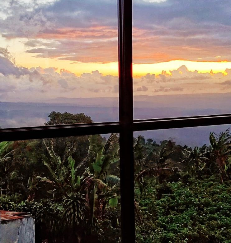 WhatsApp Image 2025 06 01 at 18.24.39