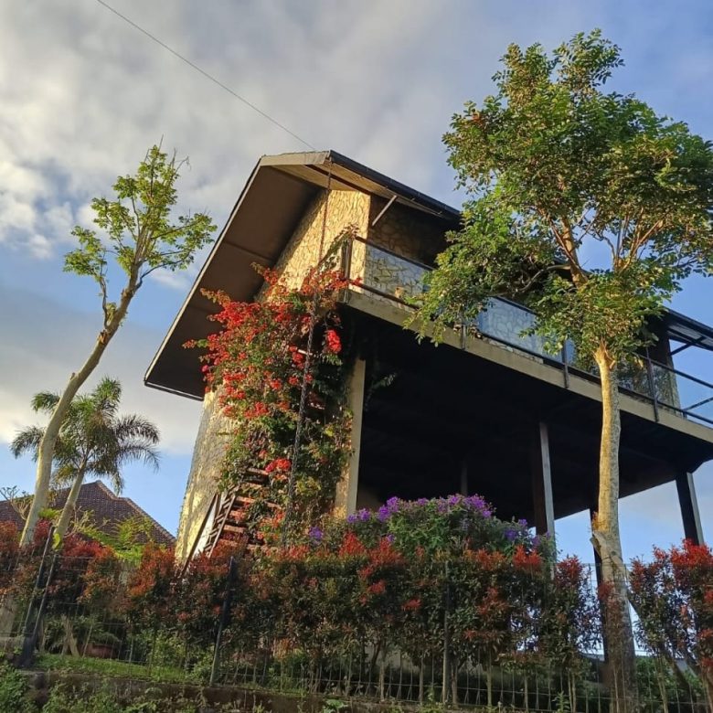 WhatsApp Image 2025 06 01 at 18.25.33