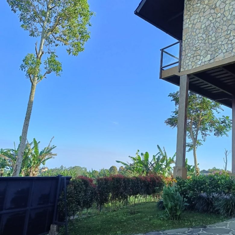 WhatsApp Image 2025 06 01 at 18.25.34