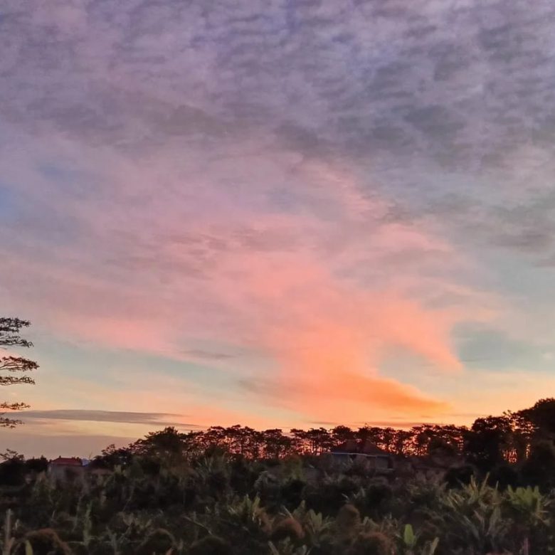 WhatsApp Image 2025 06 01 at 18.25.41 (1)