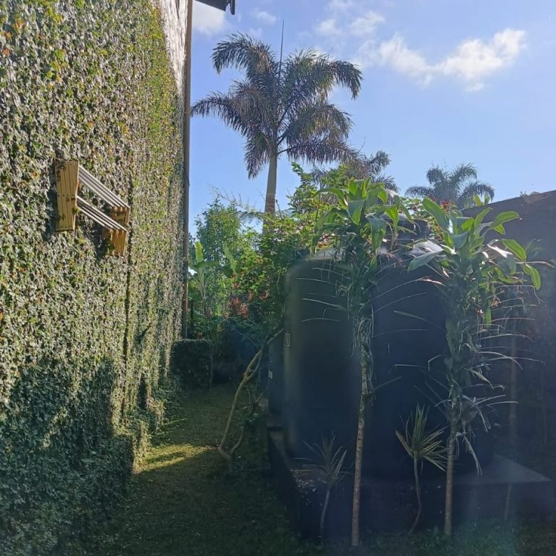 WhatsApp Image 2025 06 01 at 18.25.46