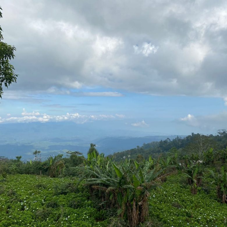 WhatsApp Image 2025 06 01 at 18.26.05