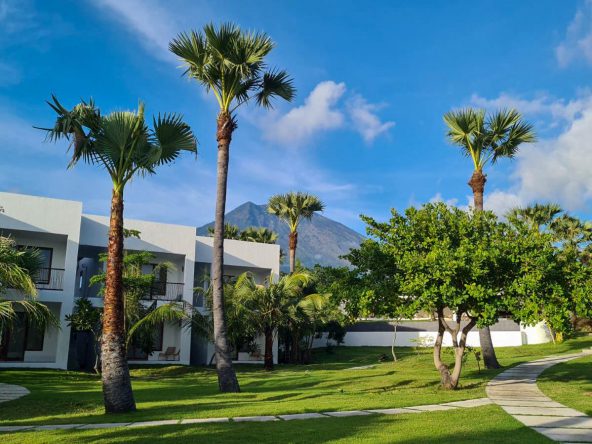 WhatsApp Image 2025 06 08 at 23.22.07 (1)