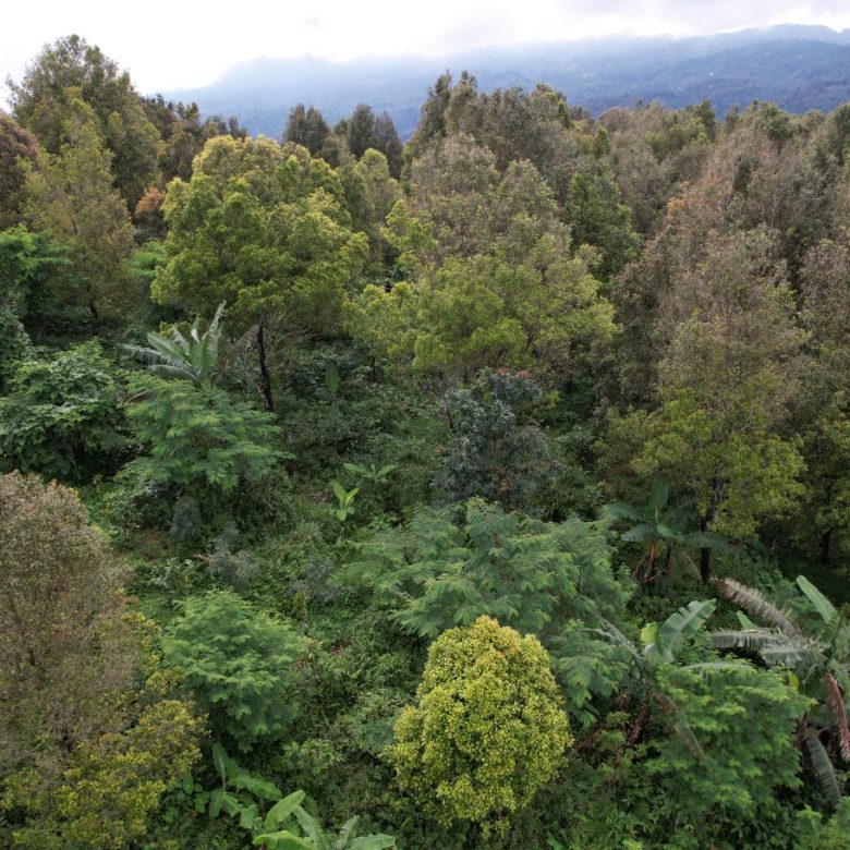 WhatsApp Image 2025 08 16 at 18.43.56