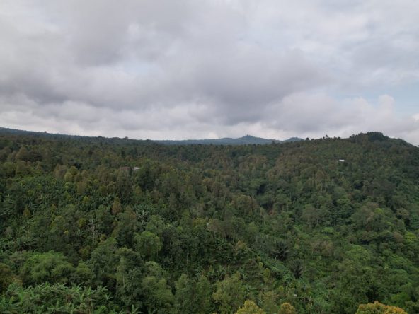 WhatsApp Image 2025 08 16 at 18.43.57 (1)