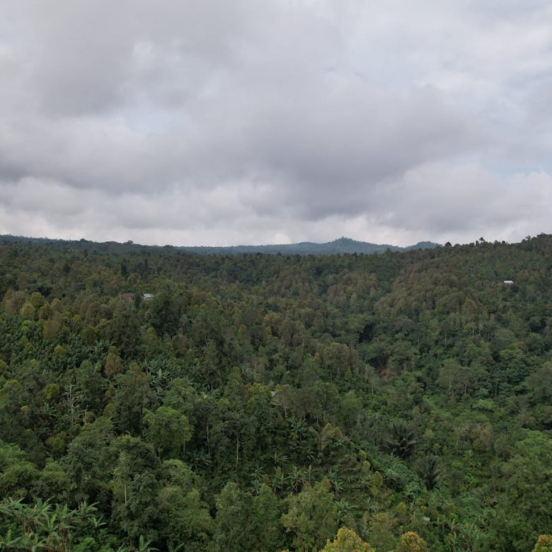 WhatsApp Image 2025 08 16 at 18.43.57 (1)