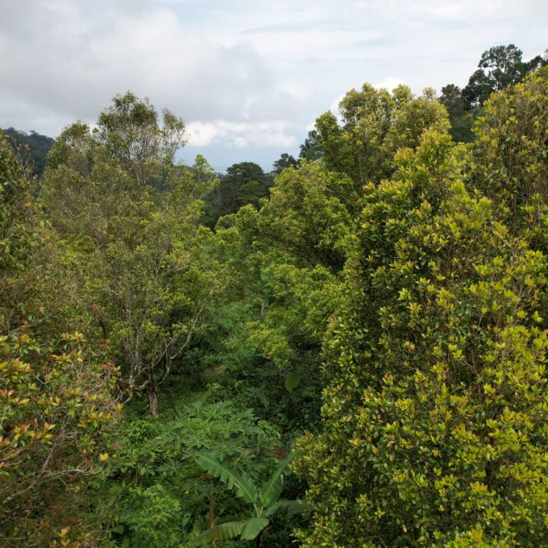 WhatsApp Image 2025 08 16 at 18.43.57