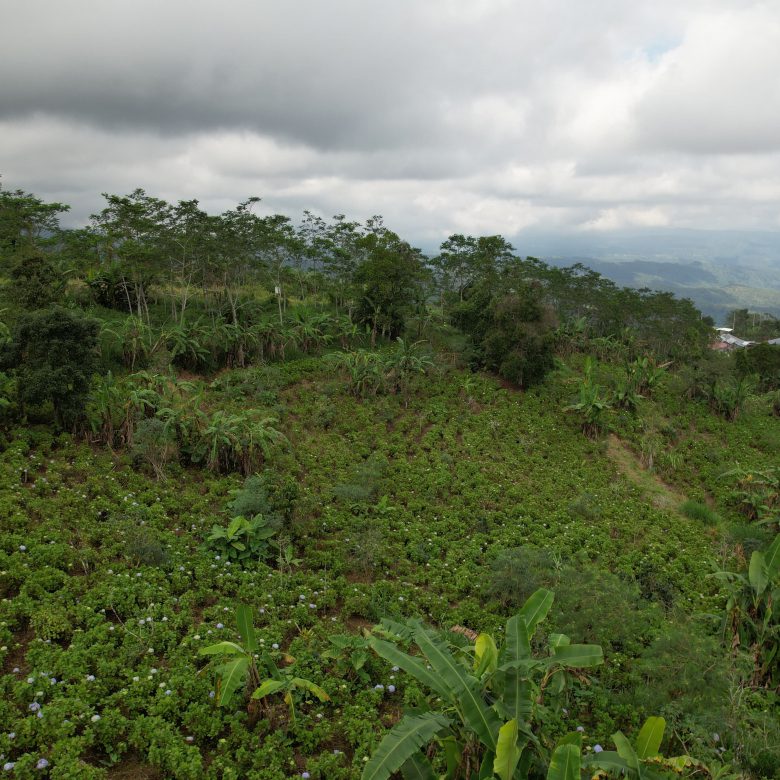 WhatsApp Image 2025 08 16 at 18.49.53