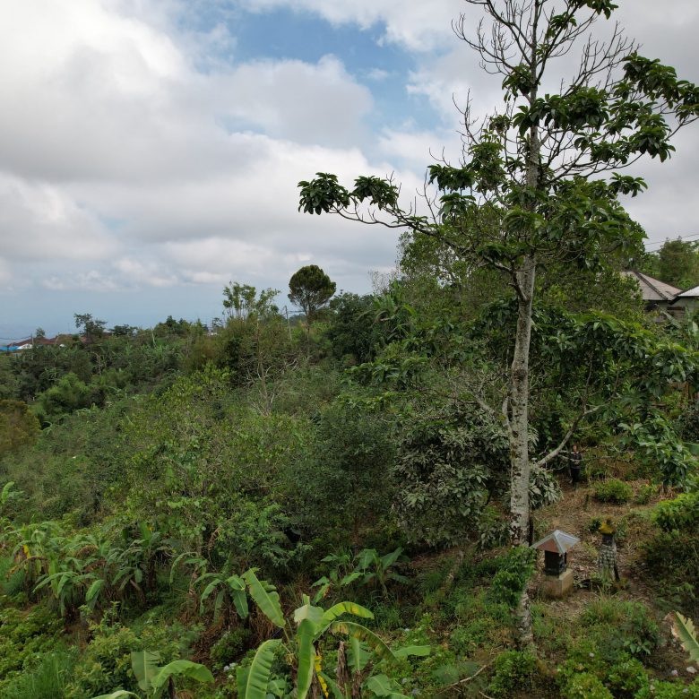 WhatsApp Image 2025 08 16 at 18.49.54