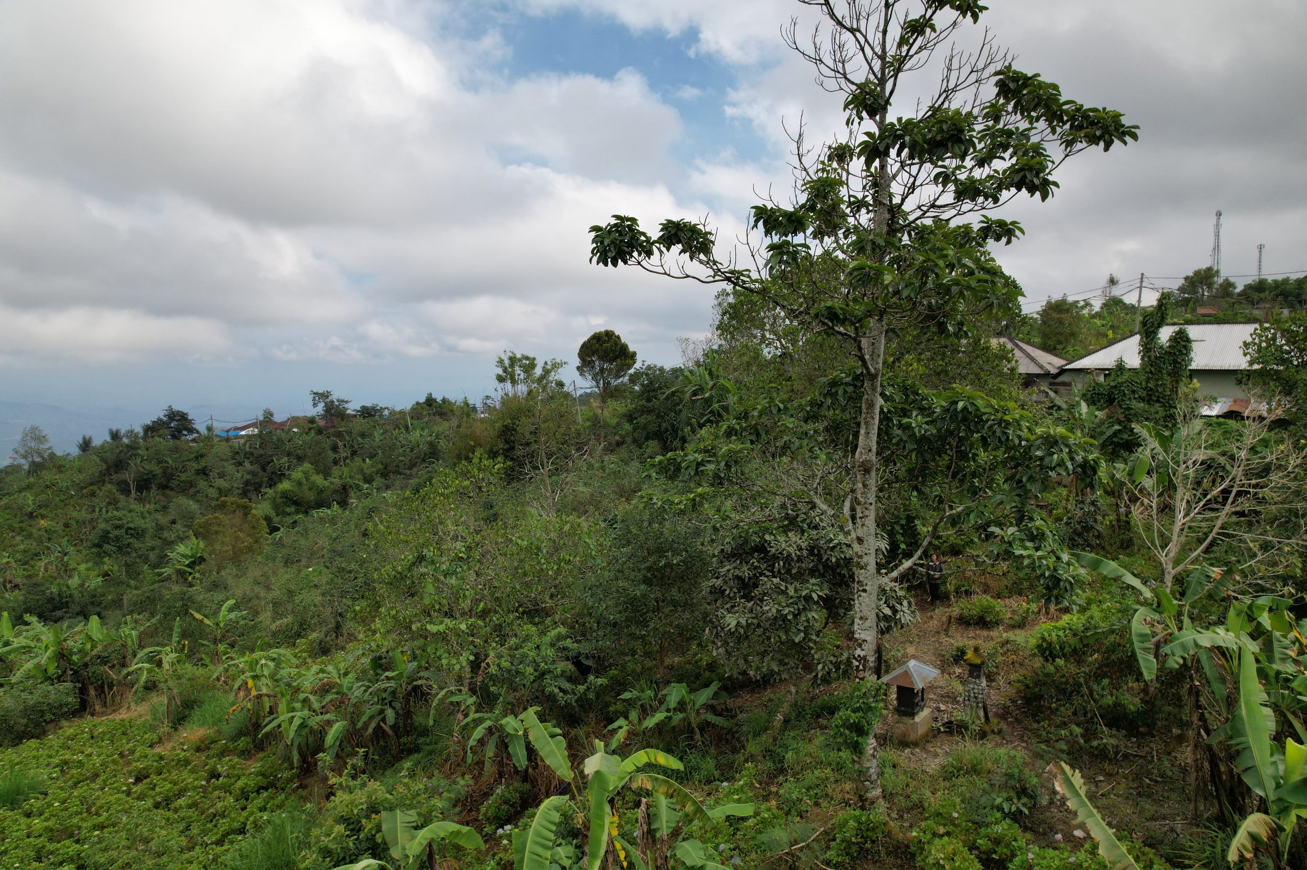 WhatsApp Image 2025 08 16 at 18.49.54