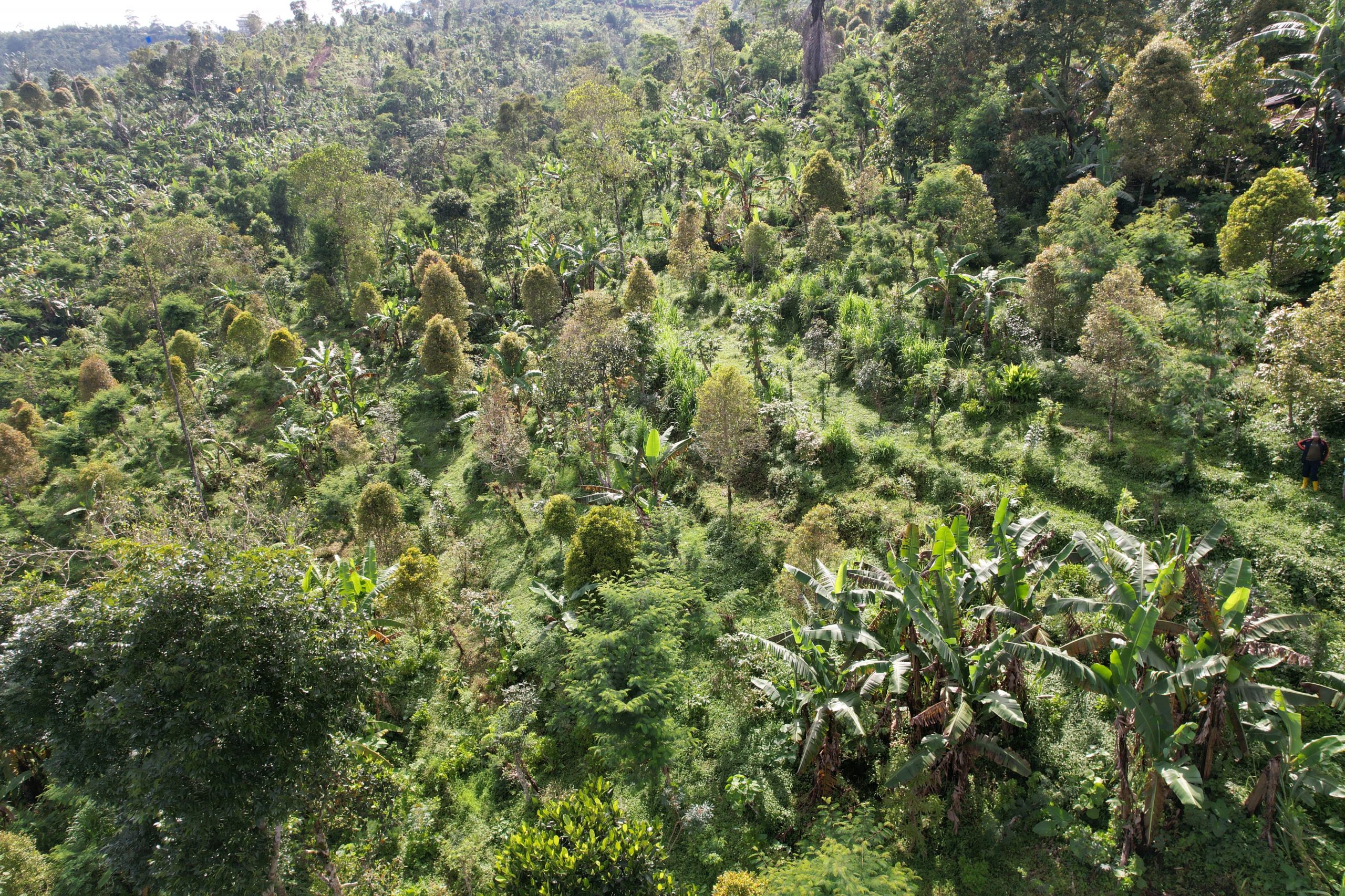 WhatsApp Image 2025 08 16 at 19.19.19 (1)