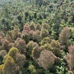 WhatsApp Image 2025 08 16 at 19.19.19