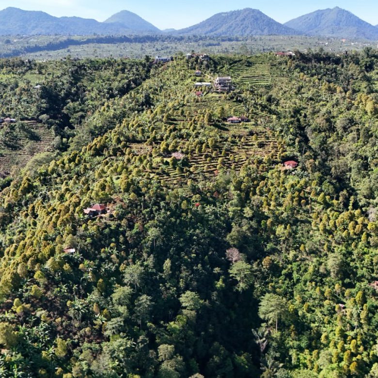 WhatsApp Image 2025 09 16 at 23.03.15