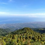 WhatsApp Image 2025 09 16 at 23.03.16