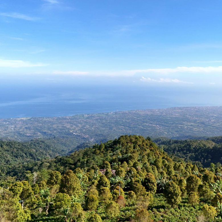 WhatsApp Image 2025 09 16 at 23.03.16