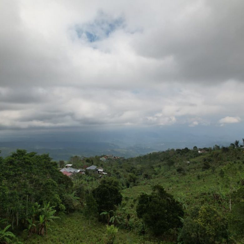 WhatsApp Image 2026 01 08 at 00.21.49