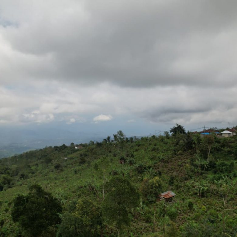 WhatsApp Image 2026 01 08 at 00.21.50 (1)