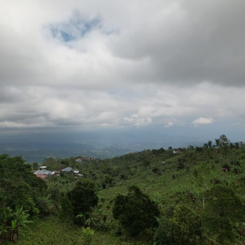 WhatsApp Image 2026 01 08 at 00.21.50