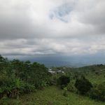 WhatsApp Image 2026 01 08 at 00.21.51 (1)