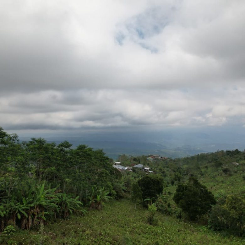 WhatsApp Image 2026 01 08 at 00.21.51 (1)