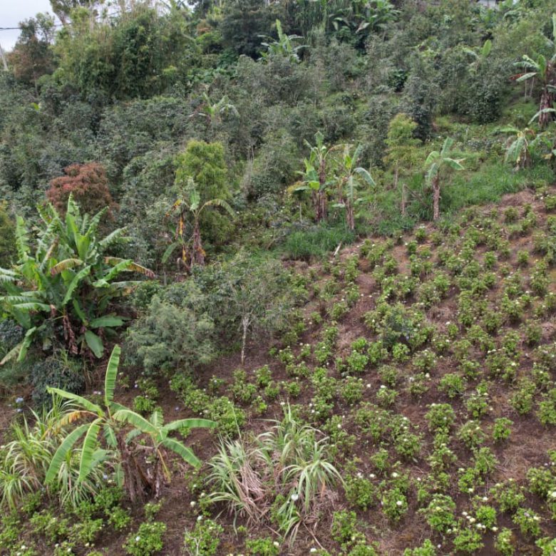 WhatsApp Image 2026 01 08 at 00.21.51