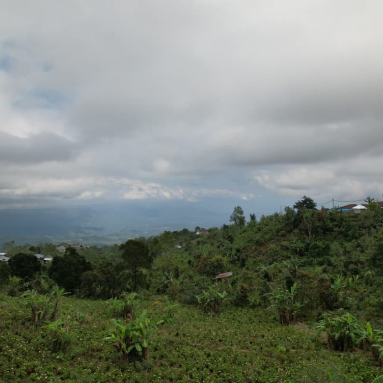 WhatsApp Image 2026 01 08 at 00.21.52