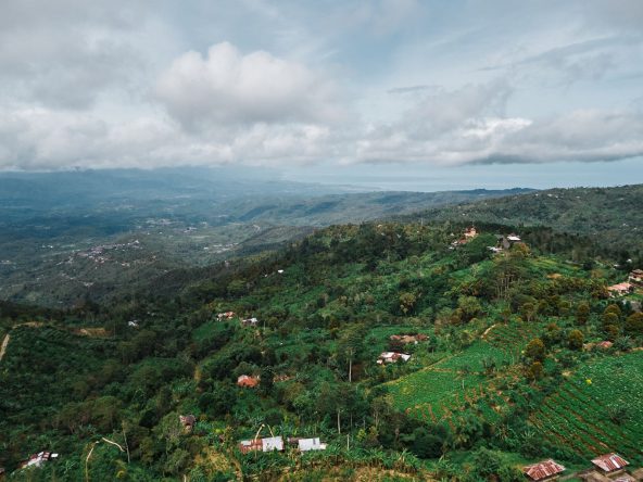 WhatsApp Image 2026 03 15 at 18.17.52 (1)