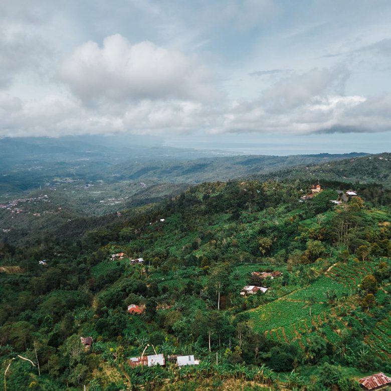 WhatsApp Image 2026 03 15 at 18.17.52 (1)