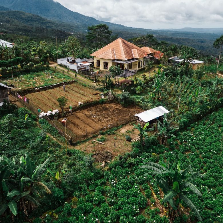 WhatsApp Image 2026 03 15 at 18.17.53 (1)