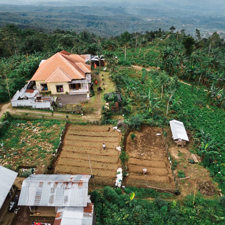 WhatsApp Image 2026 03 15 at 18.17.53