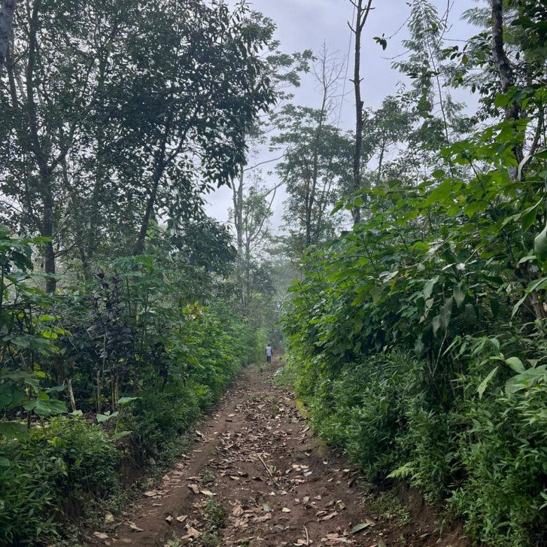 WhatsApp Image 2026 05 07 at 18.30.13