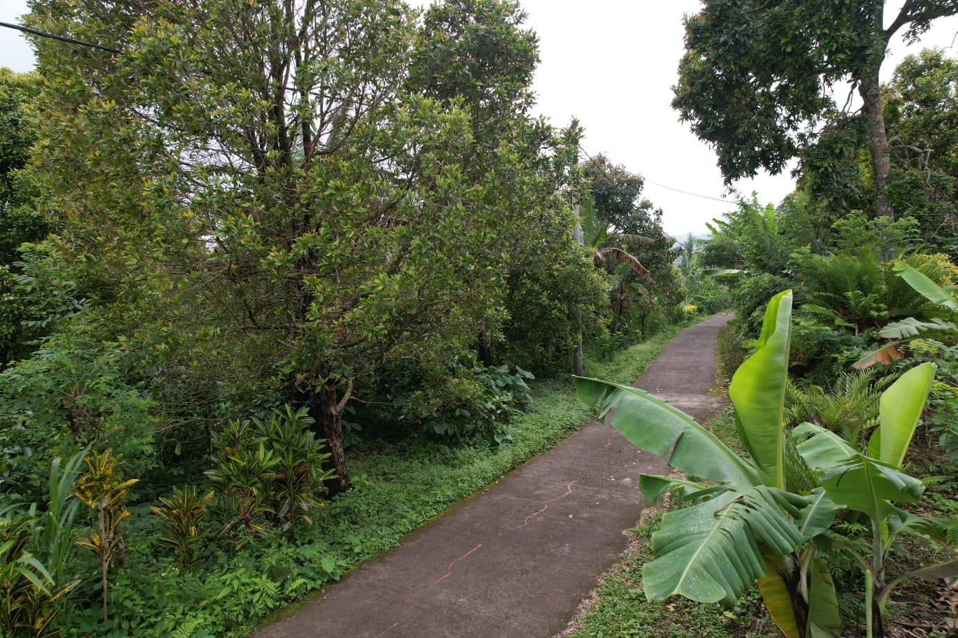 freehold land 16