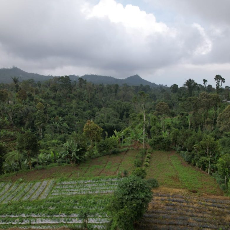 freehold land munduk 1