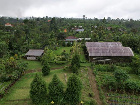 freehold land munduk 2