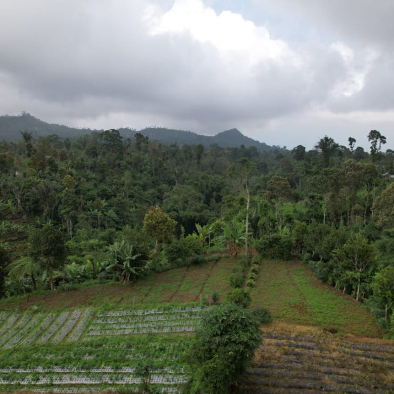 freehold land munduk 3