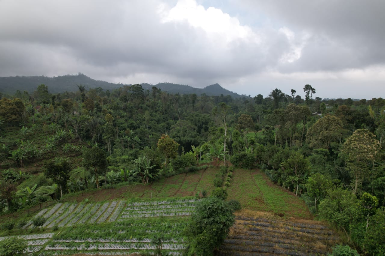 freehold land munduk 3