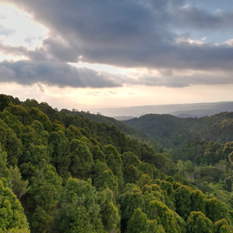 freehold land munduk 4