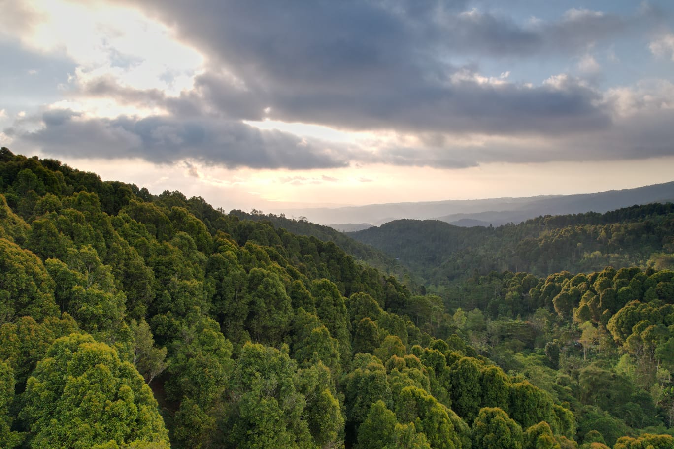 freehold land munduk 4