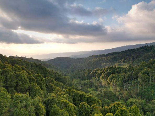 freehold land munduk 5