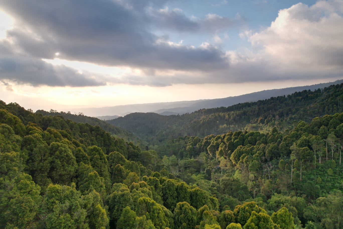 freehold land munduk 5