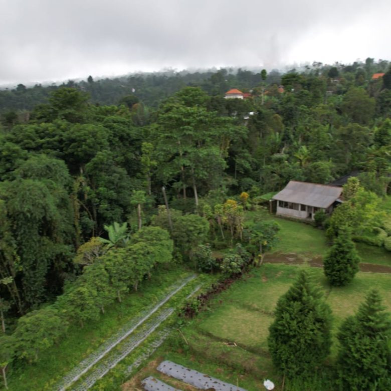 freehold land munduk