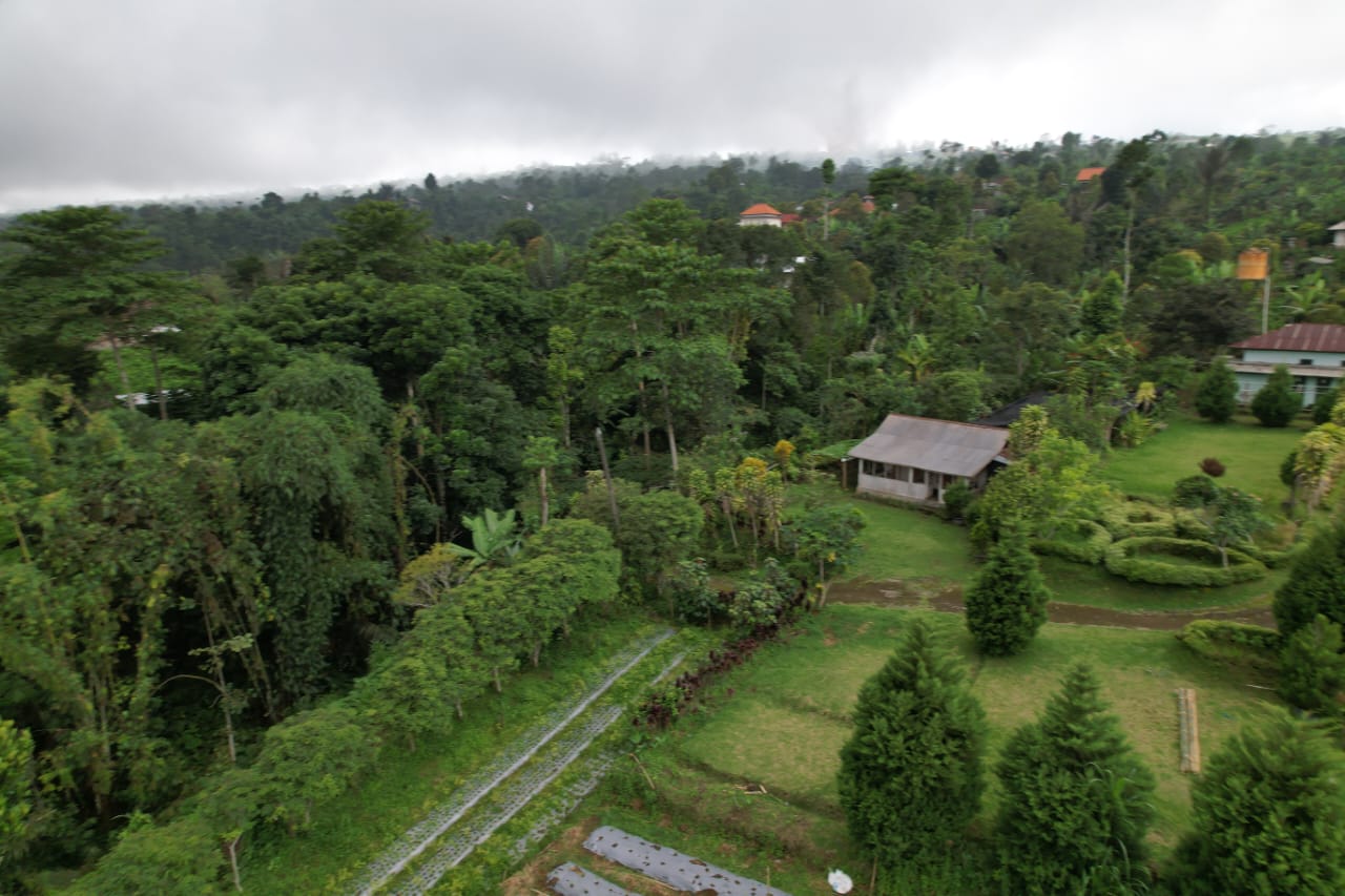 freehold land munduk