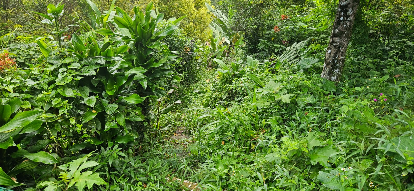 IMG 20240212 WA0081