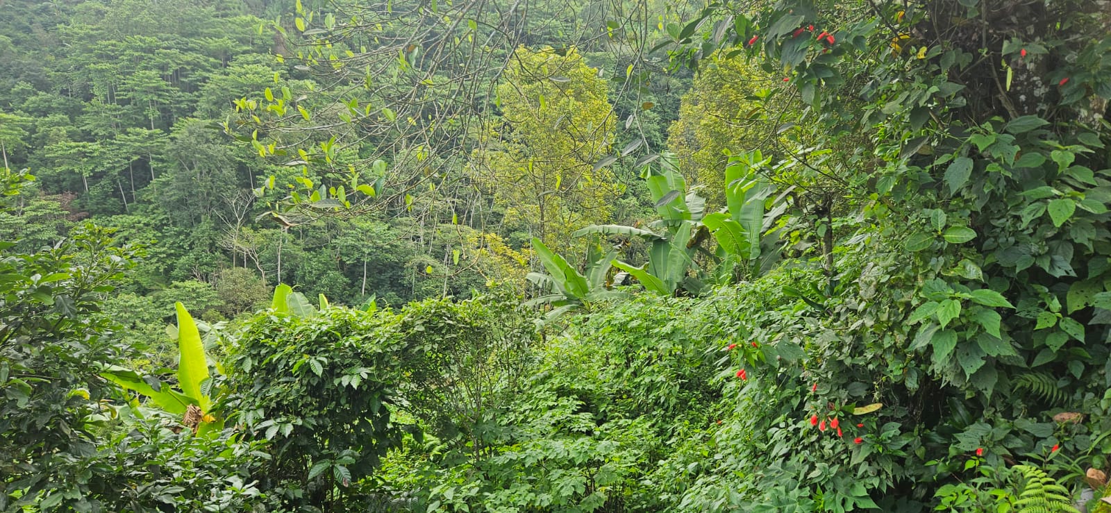 IMG 20240212 WA0083