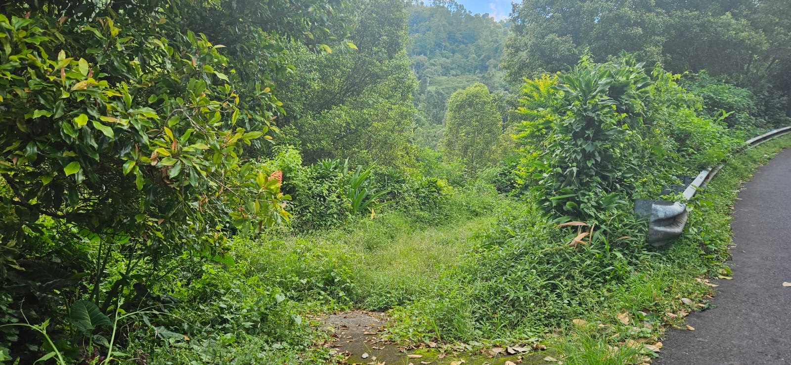 IMG 20240212 WA0086