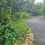 IMG 20240212 WA0087