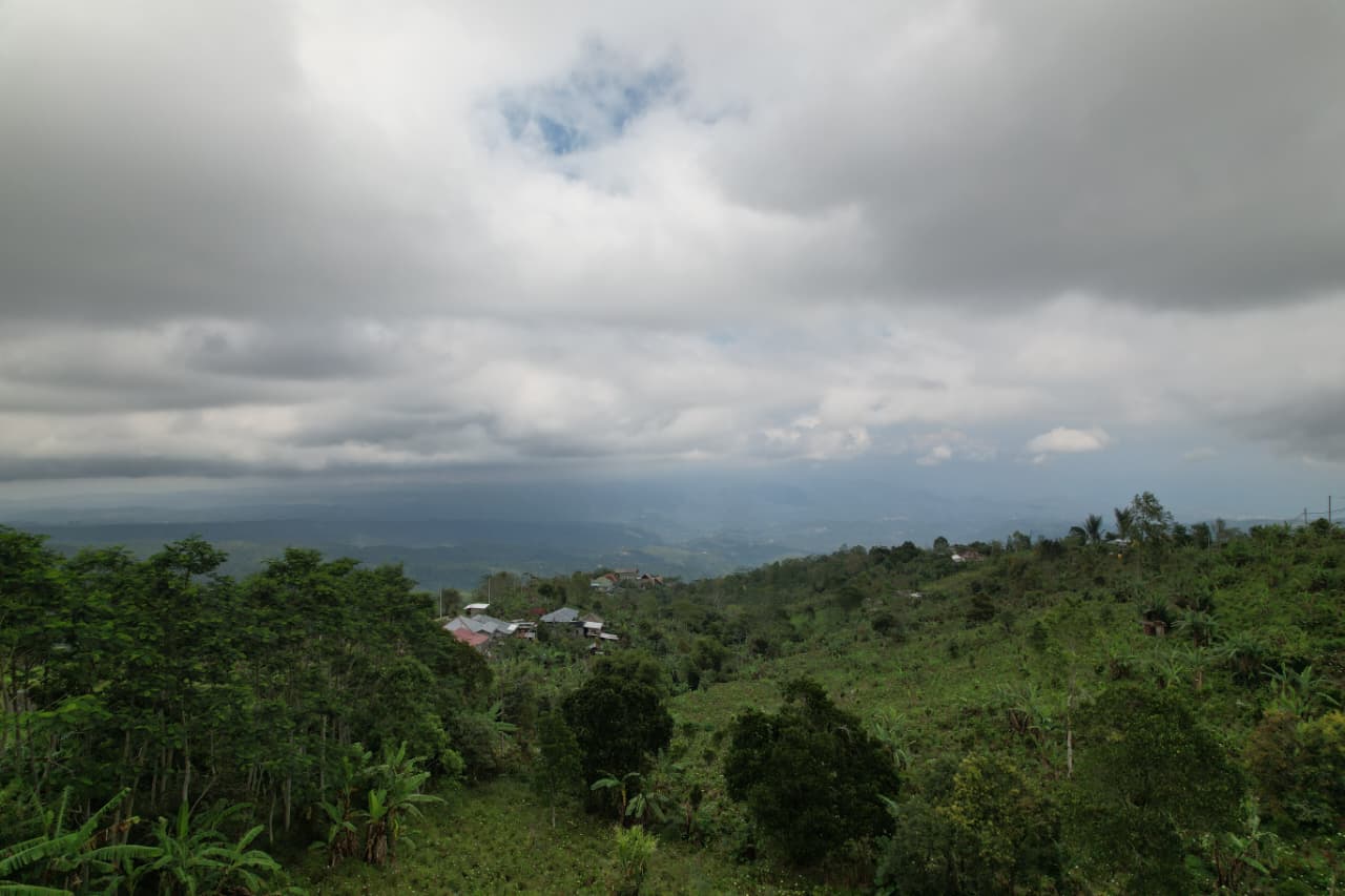 WhatsApp Image 2026 01 08 at 00.21.49